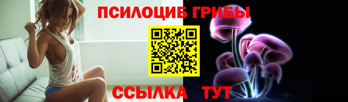 Псилоцибиновые грибы Cubensis  Вход с VPN  Батайск  Галлюциногенные грибы MAGIC MUSHROOMS 